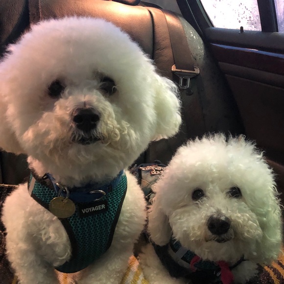 ✨💎✨Heather Raquel ✨💎✨ - Picture 8 of 8